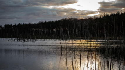 lake sunrise reflection nature sky