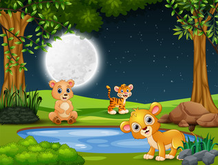 Baby animals playing by the small pond at night
