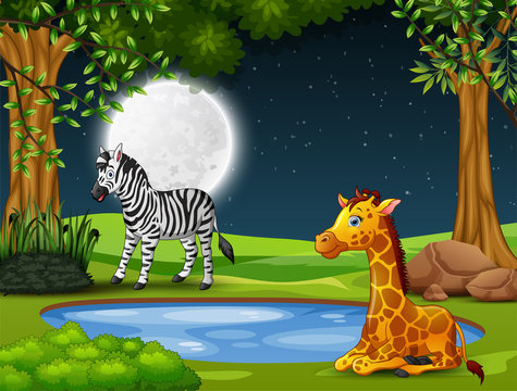 A zebra and giraffe enjoying nature at night