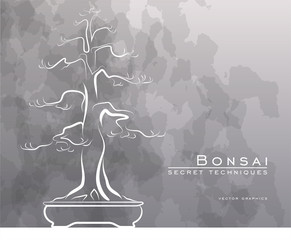 Bonsai tree in vector.