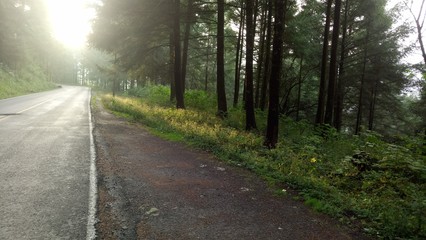 Tarde lluviosa en el bosque (In the camp, on forest)