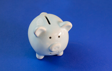 blue pig piggy bank on blue background
