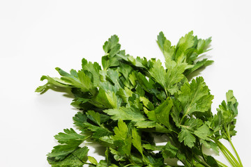 green bunch of parsley on a white background close up