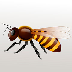 bee r