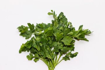 green bunch of parsley on a white background close up