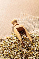 Raw uncooked  lentils (lens culinaris).