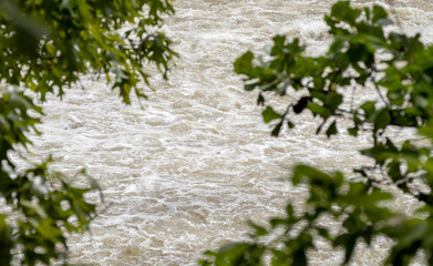 Defocused leaves frame the fast moving flood waters in Oklahoma after a deluge of spring rains....