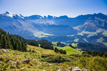 mountain landscape in the summer