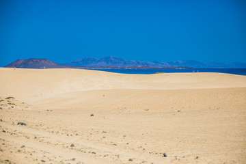 sand dunes in the desert