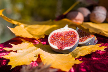 Juicy and fragrant fig fruit on yellow maple leaf.