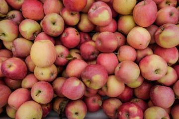 Large pile of apples