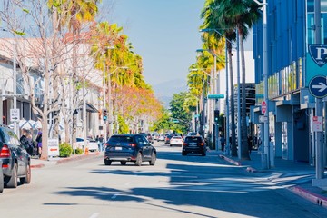 panorama of Beverly Hills and Rodeo drive