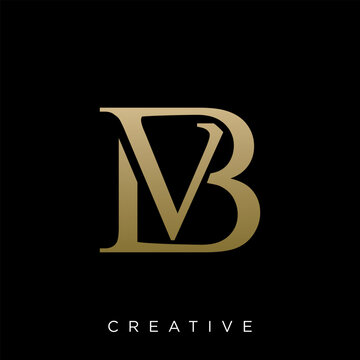 bv logo design vector icon
