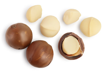 macadamia nuts isolated on white background with clipping path and full depth of field. Top view....