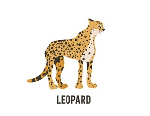 The leopard. Vector isolated animal.