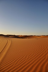 Quelques traces dans le plus grand désert du monde