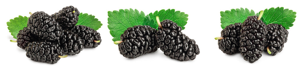Mulberry with leaf isolated on white background. Set or collection