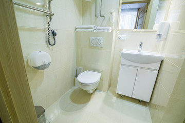 Bright bathroom, white toilet, washbasin, mirror, shower