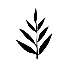 Cute hand drawn forest leaf, branch. Traditional leaves in ink, doodle style for wedding decoration and arrangements.