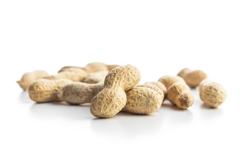 Fototapeta na wymiar Tasty unpeeled peanuts.