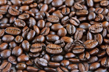 Roasted Coffee beans background with selective focus. Arabica coffee seeds. 
