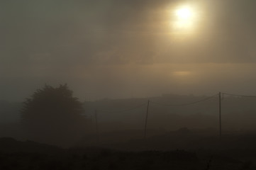 Landscape against the light in the fog. Valverde. El Hierro. Canary Islands. Spain.