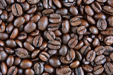 Roasted Coffee beans background with selective focus. Arabica coffee seeds. 
