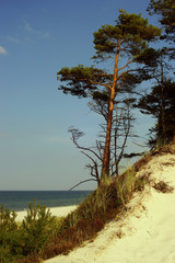 Fototapeta na wymiar Plaża Lubiatowo Bałtyk piasek woda