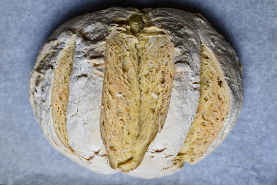 Pane