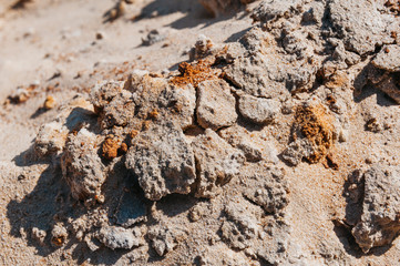 a pile of sand like a dune in the desert