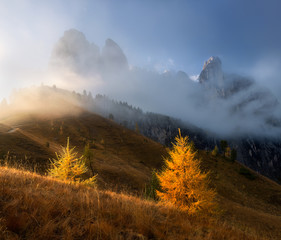 Autumn mountain landscape, Passo Gardena, South Tyrol, Dolomites, Italy