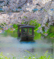 japanese garden pond