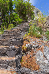 A stone staircase on a hiking trail in the mountains of Madeira, Portugal.