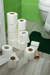 started and used toilet rolls on the toilet floor. Scattered paper on the floor and toilet. Vertical orientation
