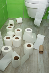 started and used toilet rolls on the toilet floor. Scattered paper on the floor and toilet....