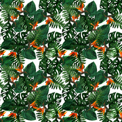 Original seamless tropical pattern with Strelitzia and leaves on white background. Seamless pattern with colorful leaves of colocasia, filodendron, monstera. Exotic wallpaper. Hawaiian style © Olena