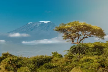 Fotobehang Kilimanjaro Kilimanjaro
