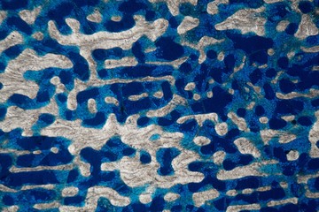 Microscope photo of a petrographic thin section from a recent coral skeleton