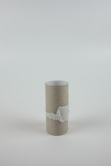 There is no toilet paper. Toilet paper tube