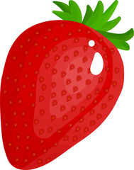  fresh strawberry on white background - vector