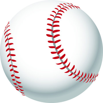 Illustration of Baseball ( ball ), with white background vector