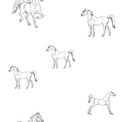 seamless background of pen-drawn horses on a white  background, pattern of isolated drawings