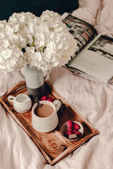 Breakfast in bed. Coffee and fruits on wooden tray. White flowers in vase. Cozy time at home. Linen bedding. Pastel colors. Stay in bed till noon. Nordic interior design. Modern lifestyle apartment.