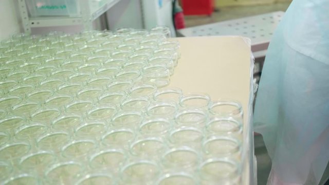 A food factory worker removes glass jars from a drawer and places it on an automatic feed line. Stages of manual labor in the production of sauces, pastes
