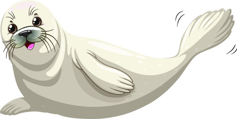 Illustration of seals, with white background vector