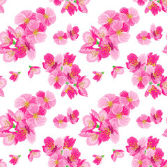 Vector illustration in flat style. Seamless pattern, image of sakura flowers.