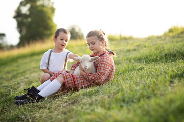 siblings brother and sister gently caring for spring newborn lamb on a freerange organic farm sanctuary  sitting on a green lawn grass  © Lumistudio