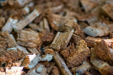 medicinal mushrooms chopped to pieces close up