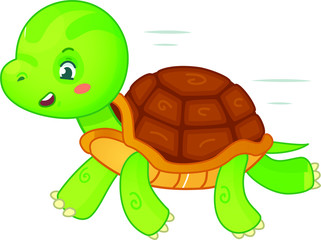 Illustration of turtle, with white background vector