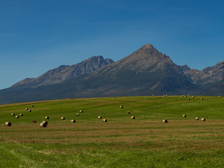 Obraz premium Beautiful summer panorama over Spisz highland with sheaves of hay to Tatra mountains, Poland